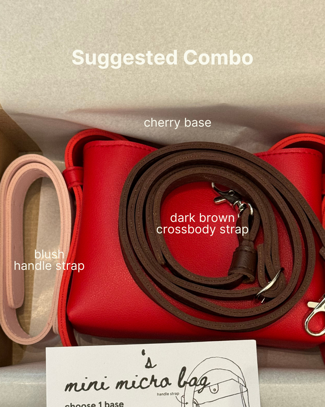 DIY Mini Micro Bag in Cherry (On Hand)
